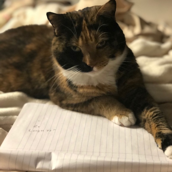 Meet your Posher, Laurie - Picture 3 of 8